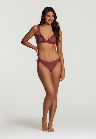 Shiwi Triangle Bikini 'Bobby' in Brown