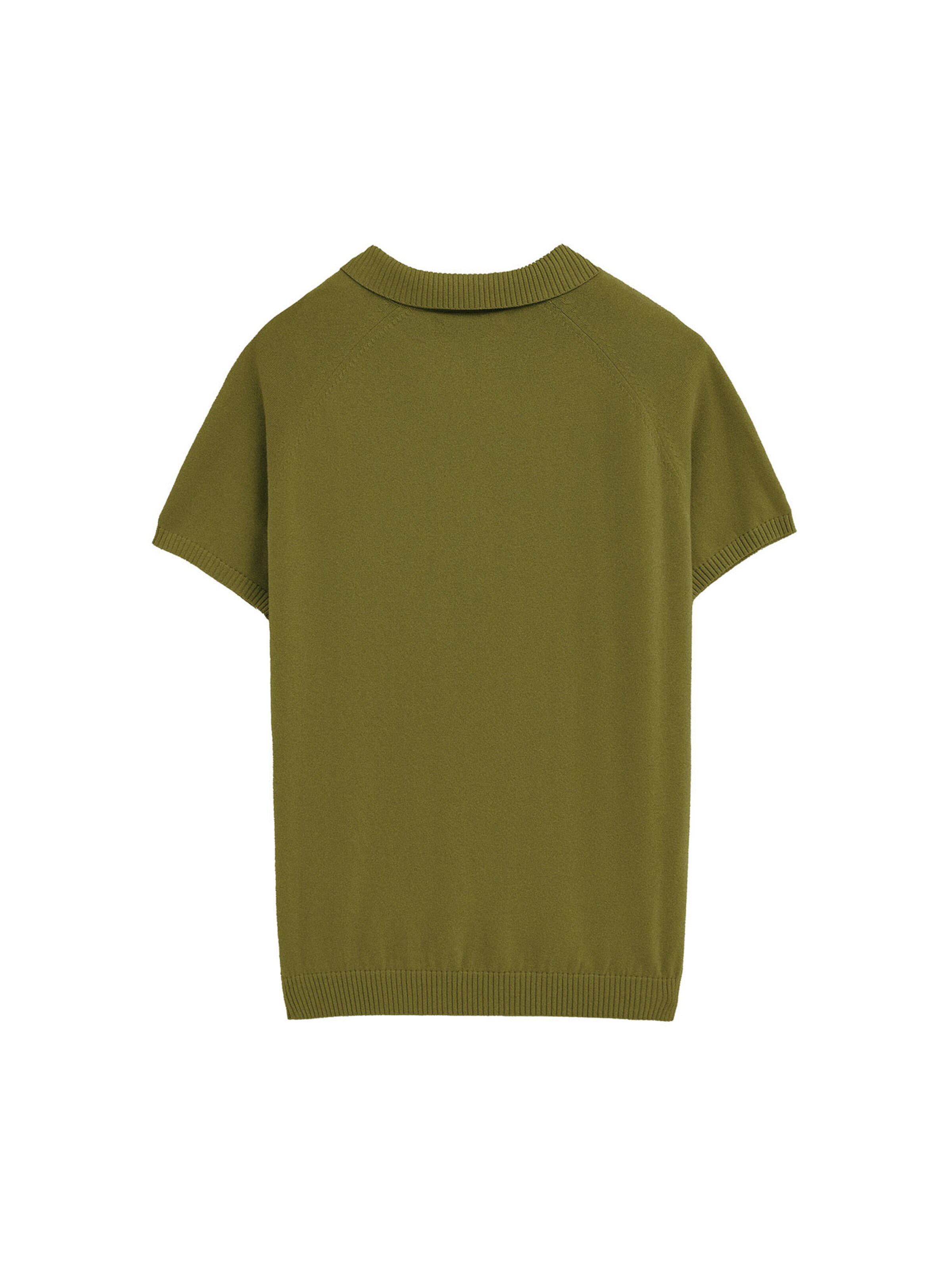 Polo Club Sweater in Brown