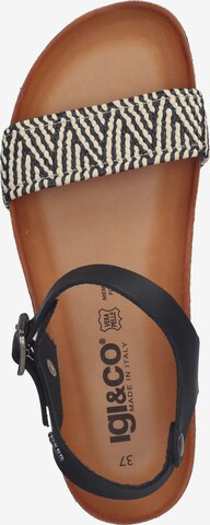 IGI&CO Sandalen met riem in Zwart