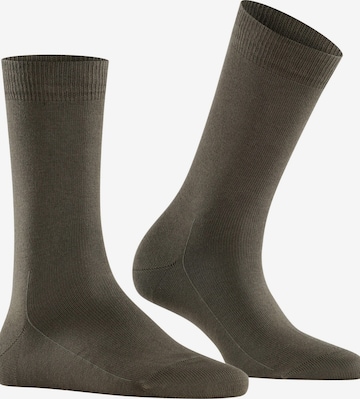 FALKE Socks 'Family' in Green: front