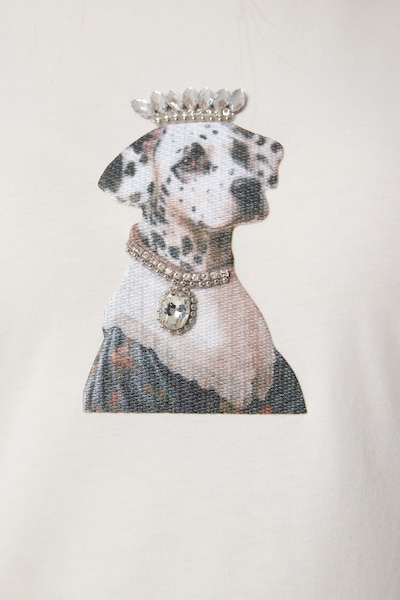 Maglietta Happiness İstanbul di colore oro / grigio scuro / offwhite, Visualizzazione prodotti