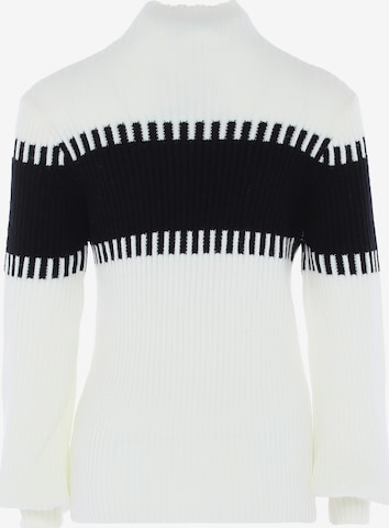 FENIA Sweater in White: front