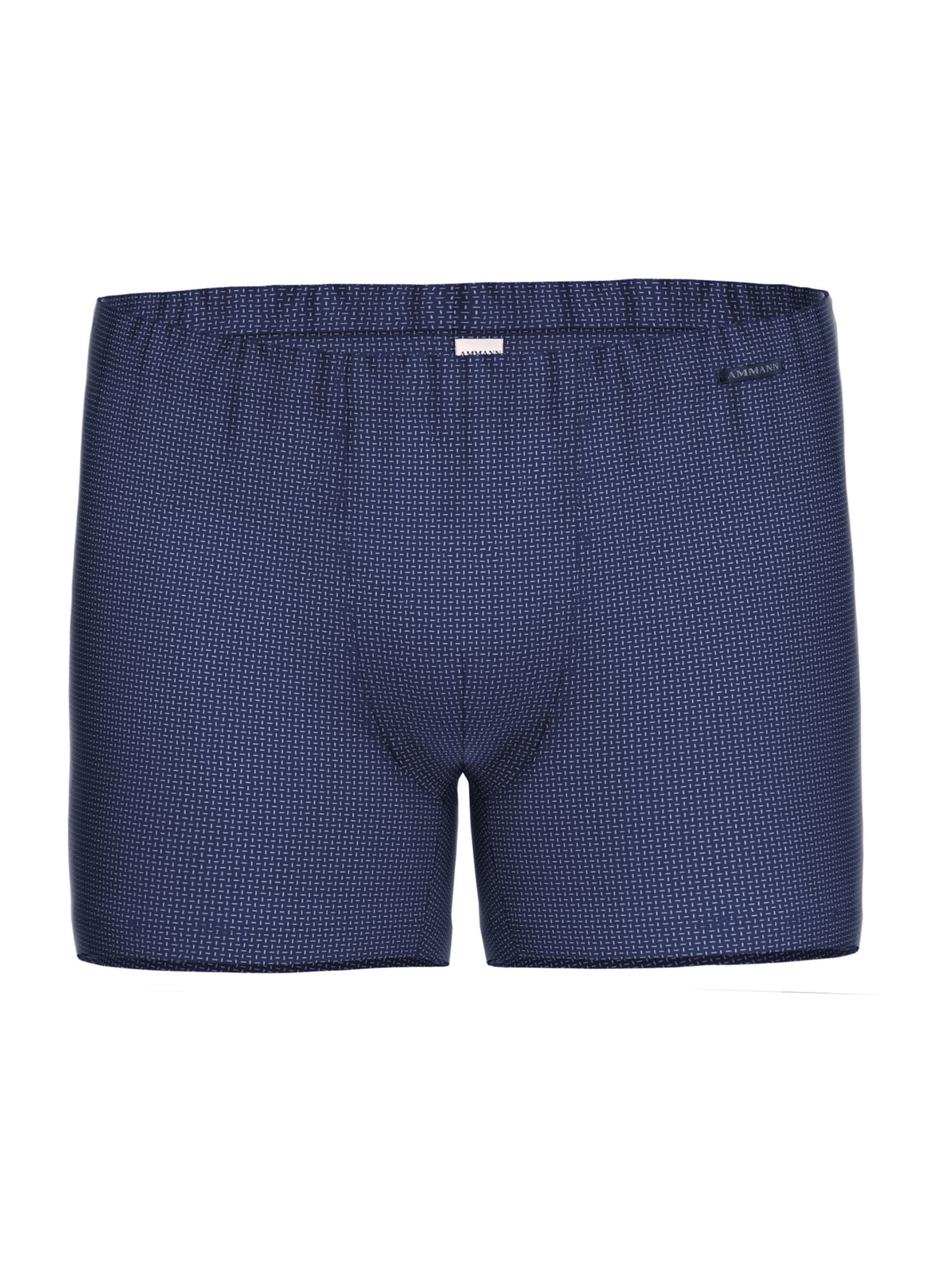 Boxers ' Nelson ' Ammann en bleu