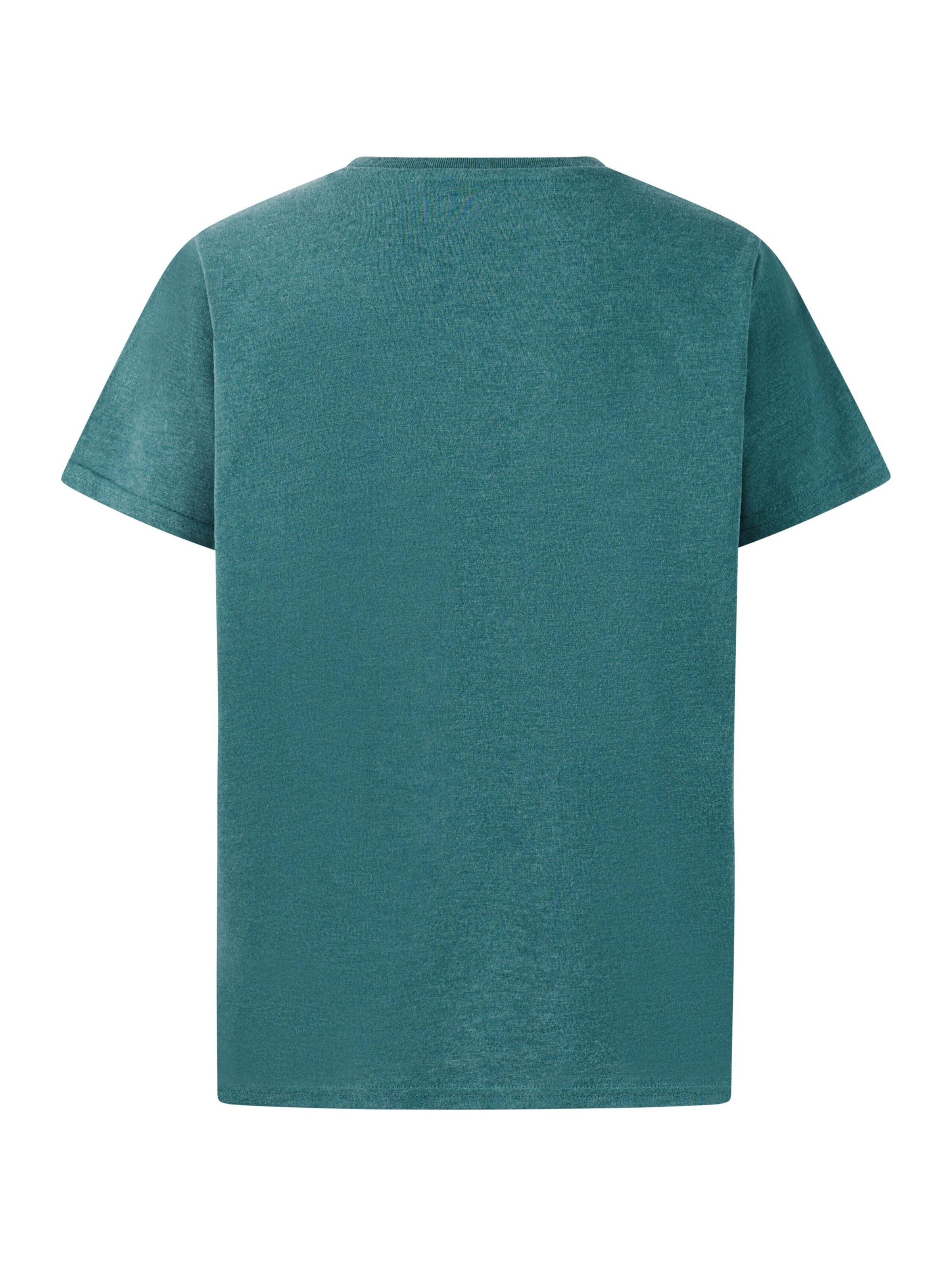 PROTEST Shirt 'PRTRay JR' in Green