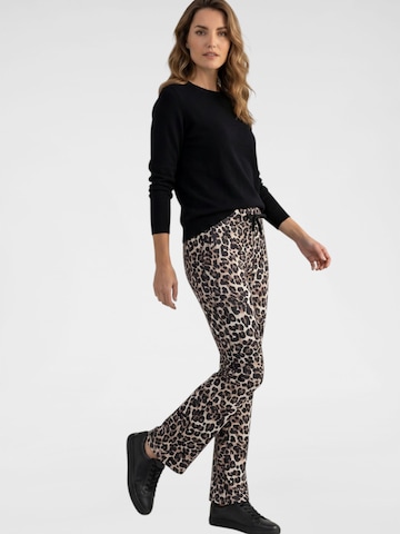 Navigazione Regular Broek in Bruin