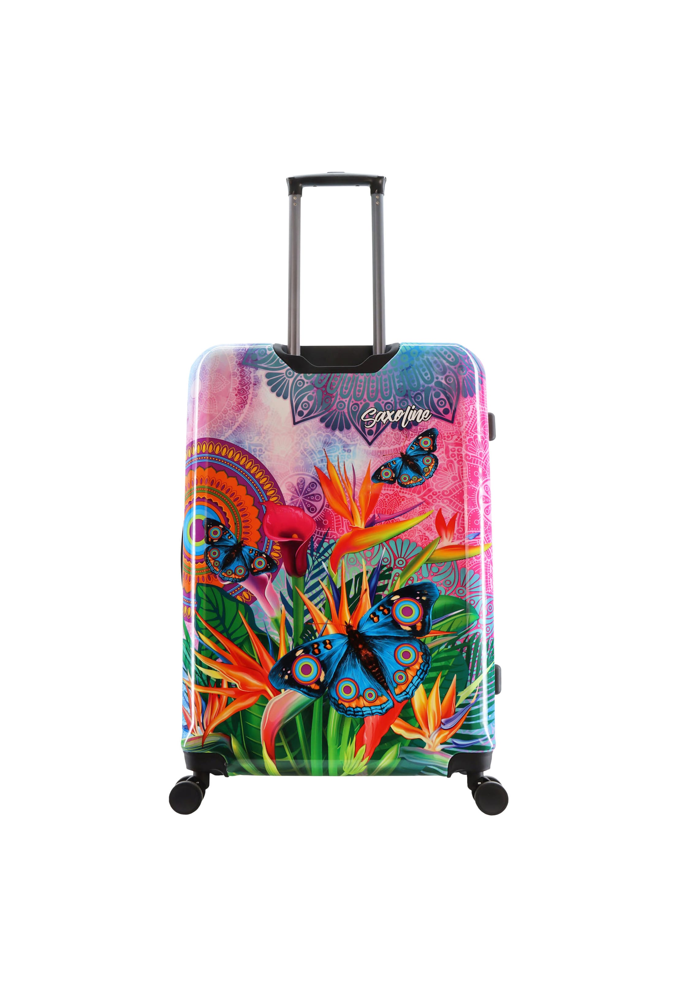 Saxoline Blue Suitcase in Mixed colors