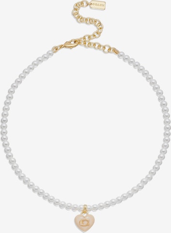 COACH Necklace in White: front