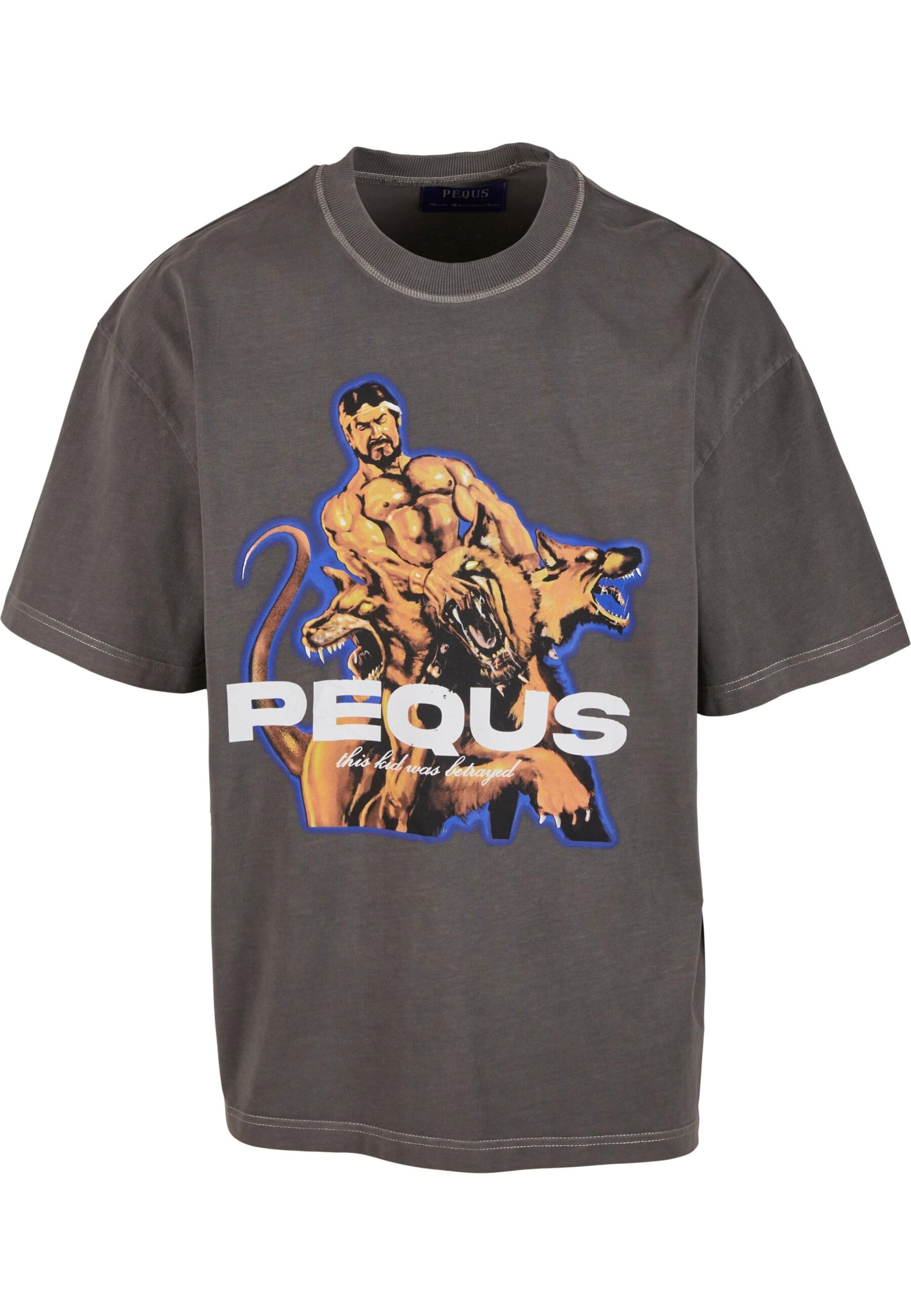 Maglietta di Pequs in grigio: frontale