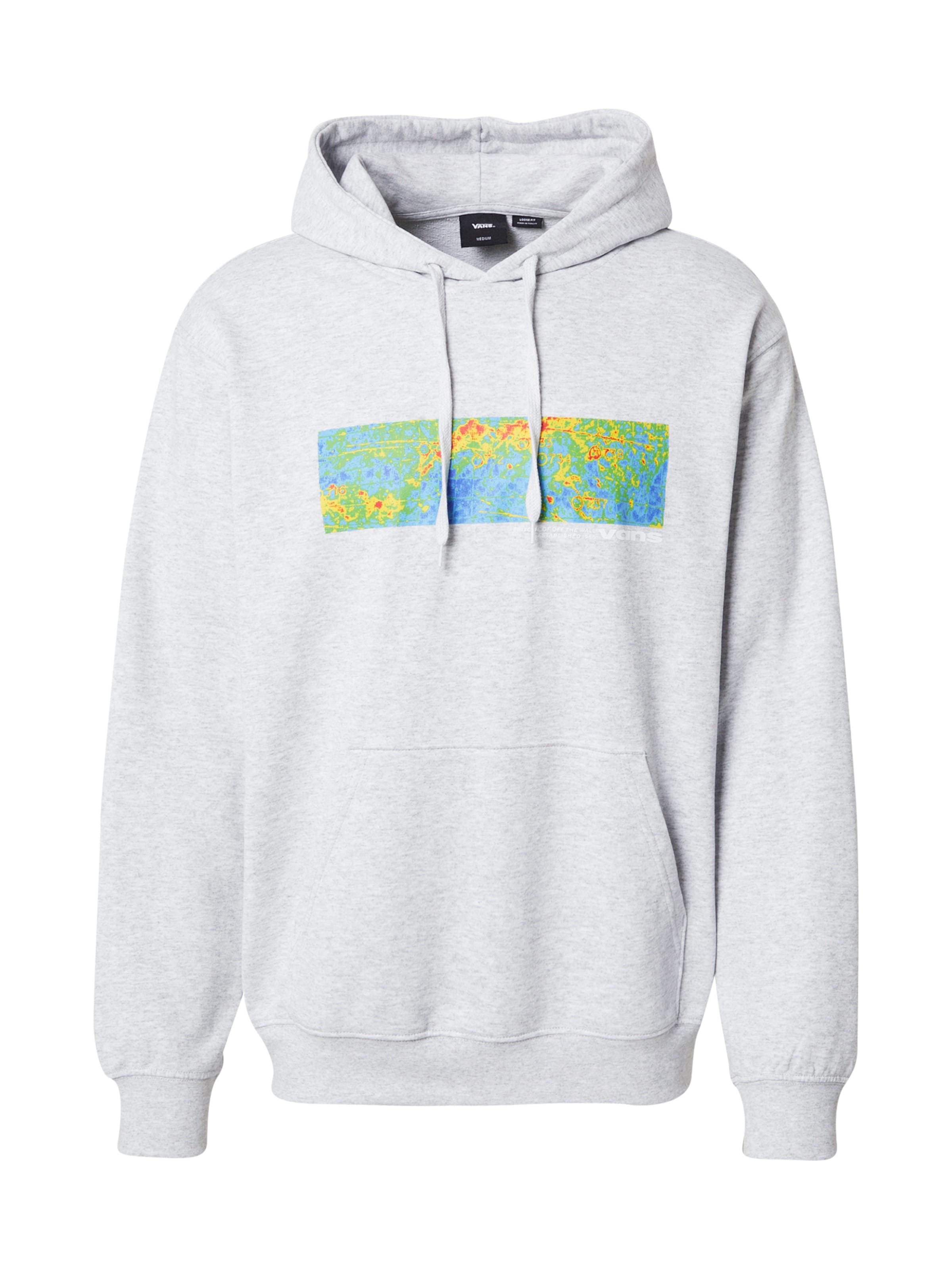 VANS Sweatshirt &#x27;Skate Timez Up&#x27; i grå: framsida