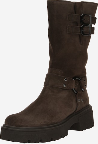 GABOR Stiefel in Braun: Vorderseite