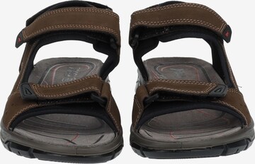 IMAC Hiking Sandals in Brown