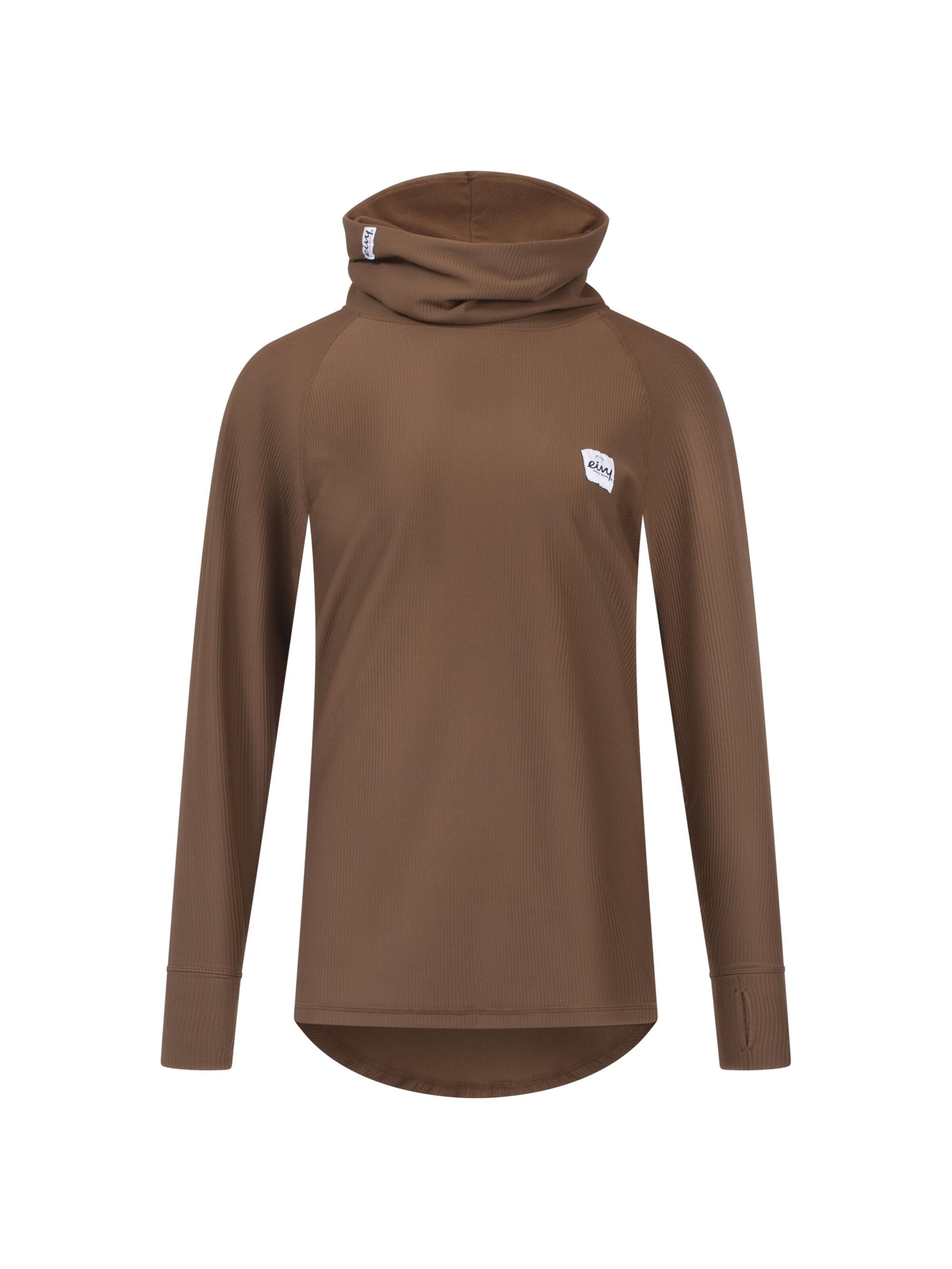 Eivy Functioneel shirt 'Icecold' in Bruin: voorkant