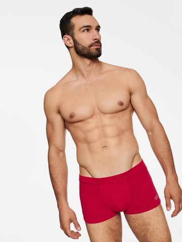 Henderson Boxershorts 'State' in Rood