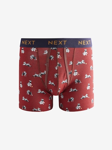 Boxers Next en mélange de couleurs