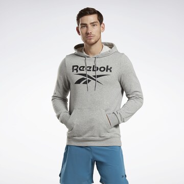 Reebok Majica 'Identity French Terry Vector' | siva barva: sprednja stran