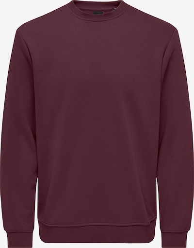 Only & Sons Collegepaita 'ONSConnor' värissä viininpunainen, Tuotenäkymä