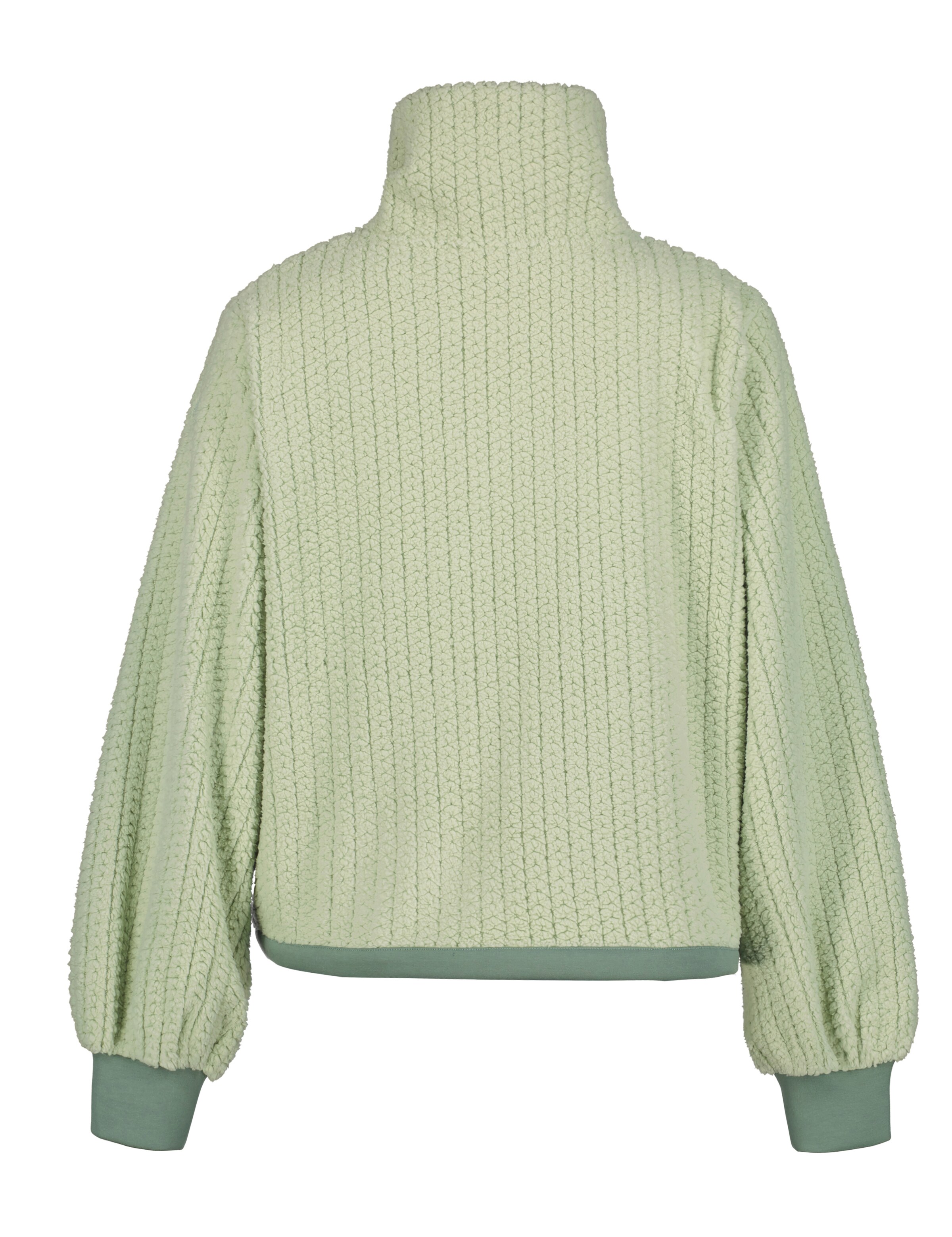 ICEPEAK Funktionsfleecejacke 'Adonet' in Grün