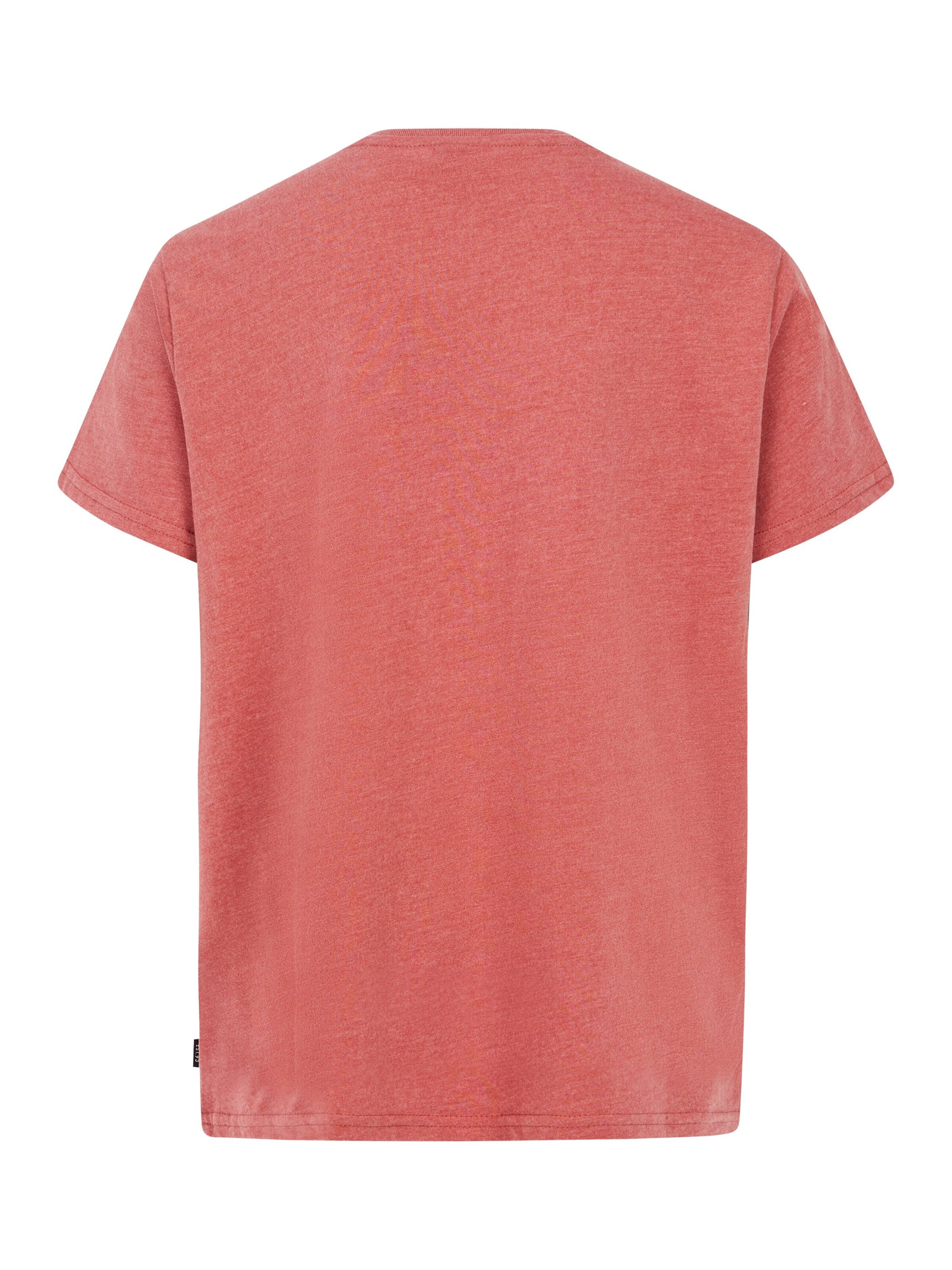 PROTEST Shirt 'PRTMarius JR' in Rood