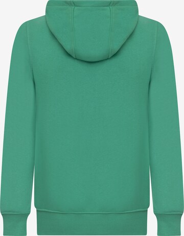 DENIM CULTURE Sweatshirt 'Sebastian' in Groen