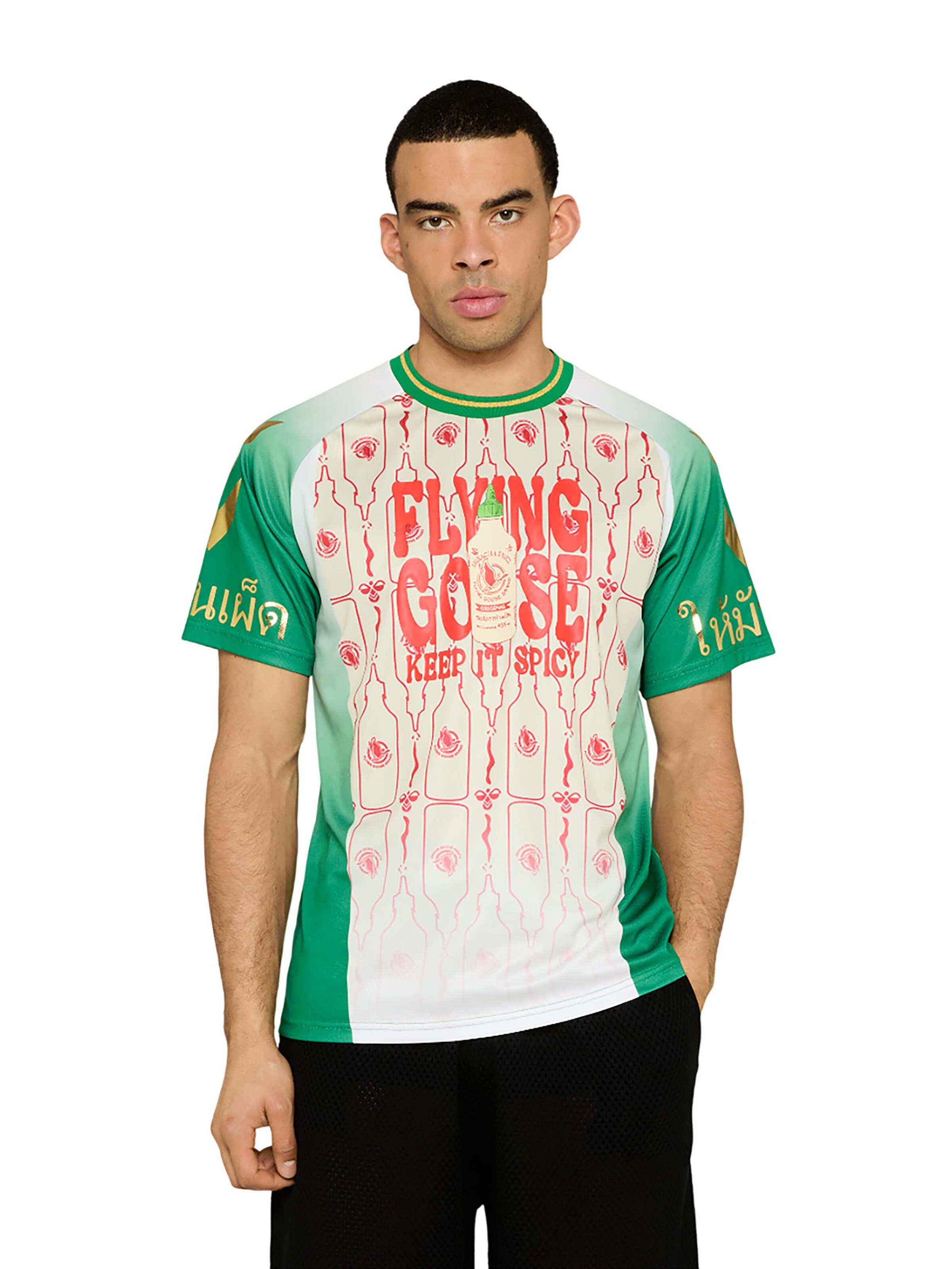 Hummel Jersey 'Sriracha' in Mixed colors: front