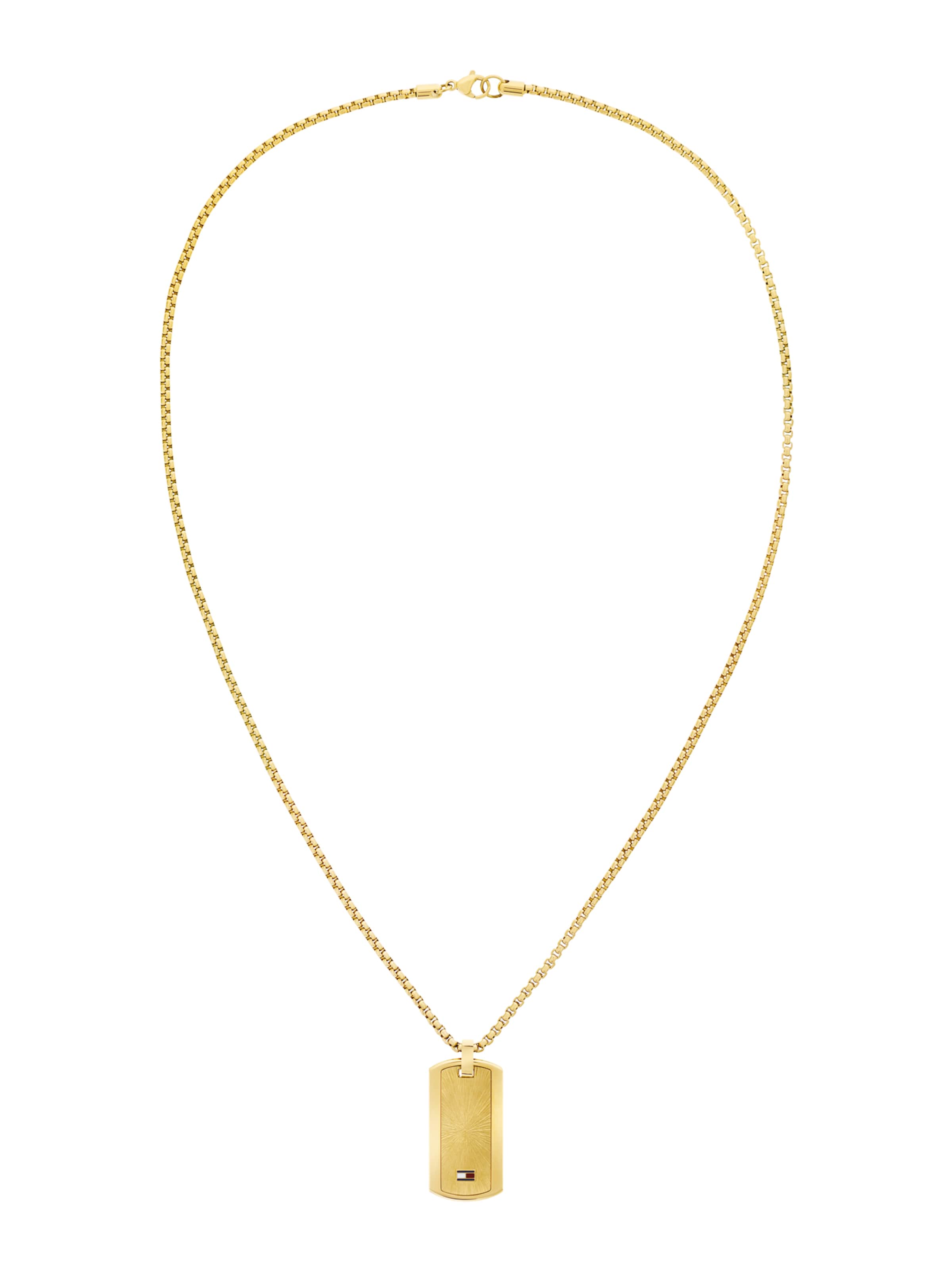 TOMMY HILFIGER Αλυσίδα 'JAMESON' σε χρυσό: μπροστά