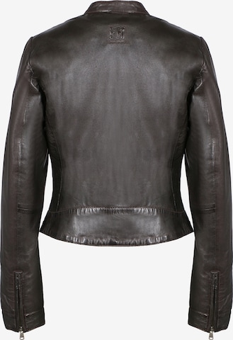 FREAKY NATION Prehodna jakna ' Bea-FN ' | rjava barva