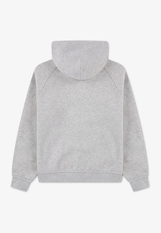 Jordan - Sudadera con cremallera 'BROOKLYN' en gris