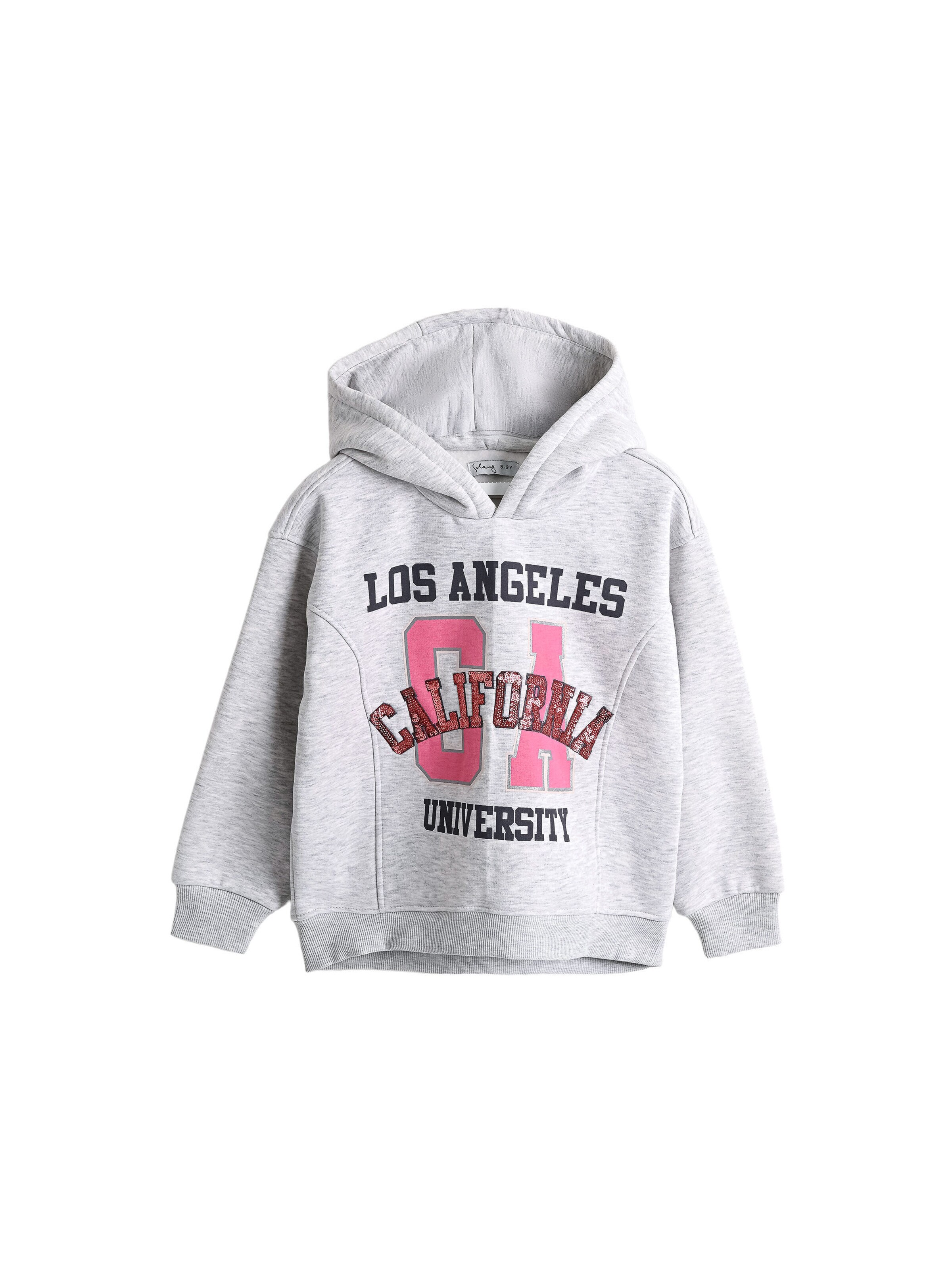 Sweat-shirt Solang en gris : devant