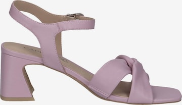 CAPRICE Strap Sandals in Pink