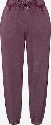 Studio Untold Tapered Pants in Purple: front