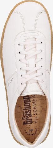 SIOUX Sneakers 'Tils ' in White