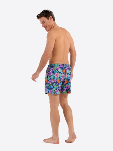 HOM Badeshorts ' Balata Beach Boxer ' in Blau