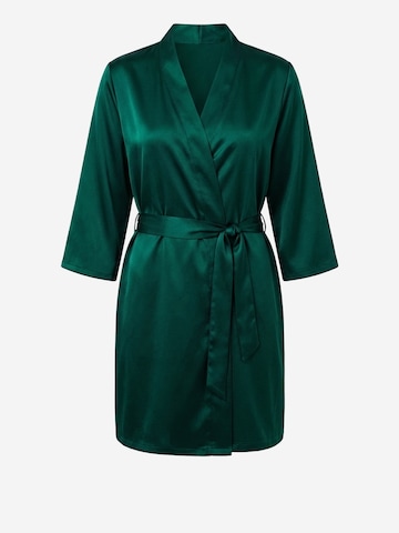 Ombre Dressing gown in Green