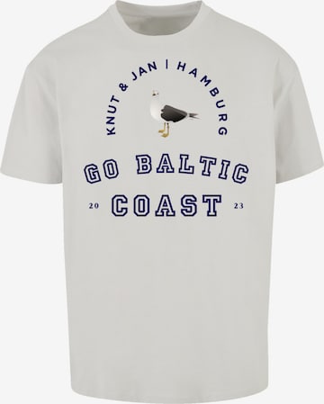 F4NT4STIC Shirt 'Möwe Knut & Jan Hamburg' in Grau: predná strana