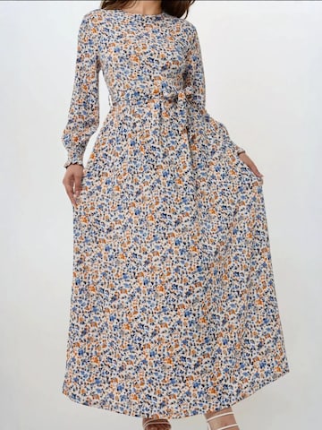 Hiccup Kleid in Blau