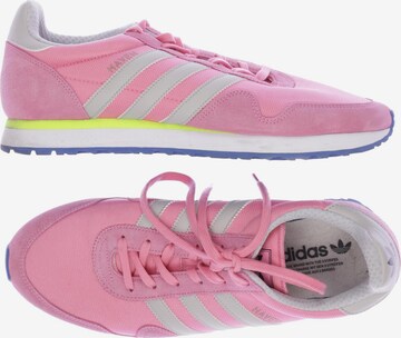 ADIDAS ORIGINALS Sneakers & Trainers in 45 in Pink: front