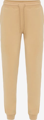 Jacey Quinn Trousers in Beige: front