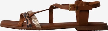 Oh my Sandals Sandale in Braun: Vorderseite