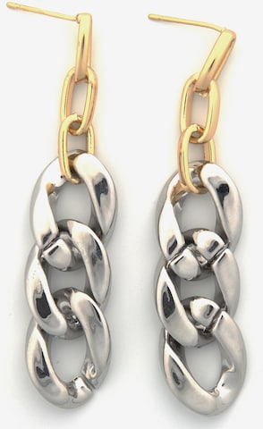 J. Jayz Earrings in Silver: front