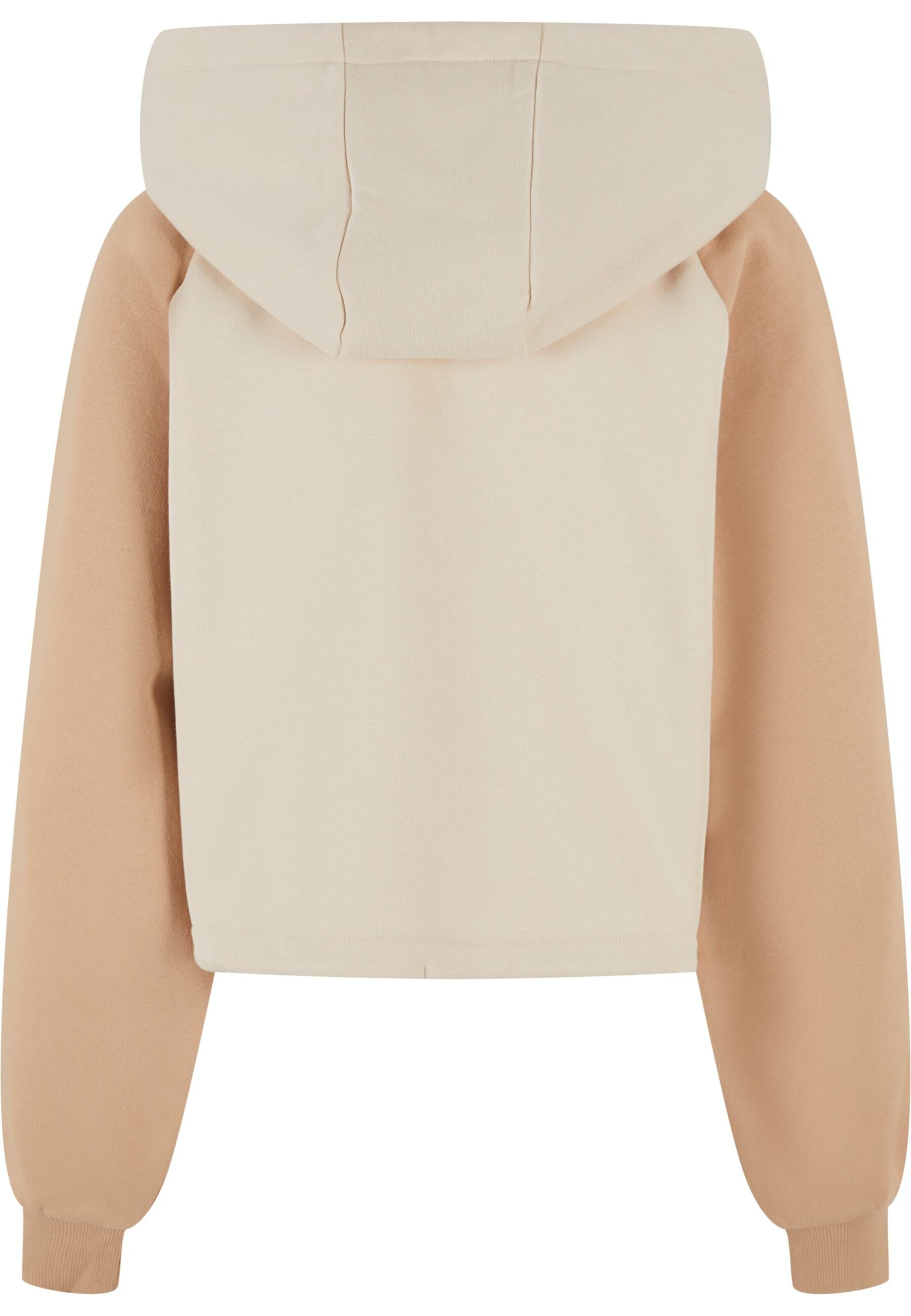 Karl Kani Sweatshirt in Beige