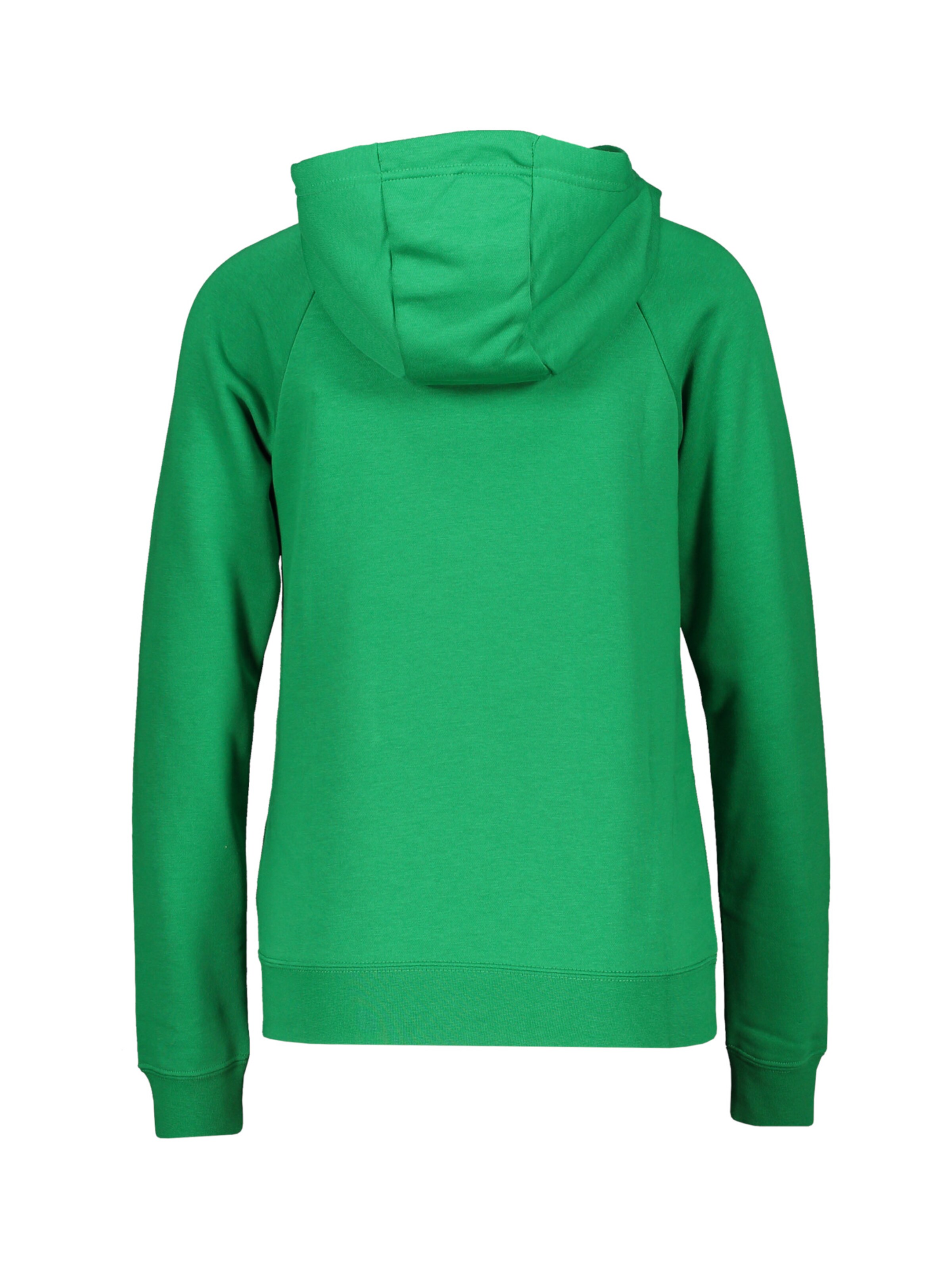 NIKE Sportsweatshirt 'Park 20' in Grün