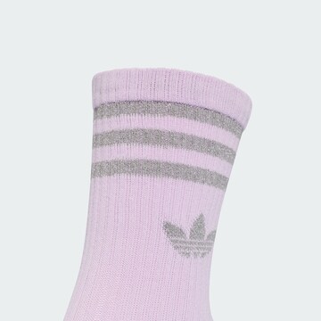 ADIDAS ORIGINALS Socks in Purple