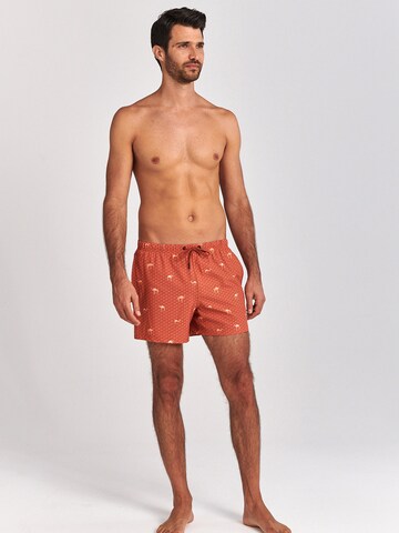 Shiwi Board Shorts in Brown