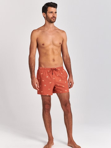 Shorts de bain Shiwi en marron