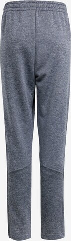 Regular Pantalon de sport ADIDAS SPORTSWEAR en gris