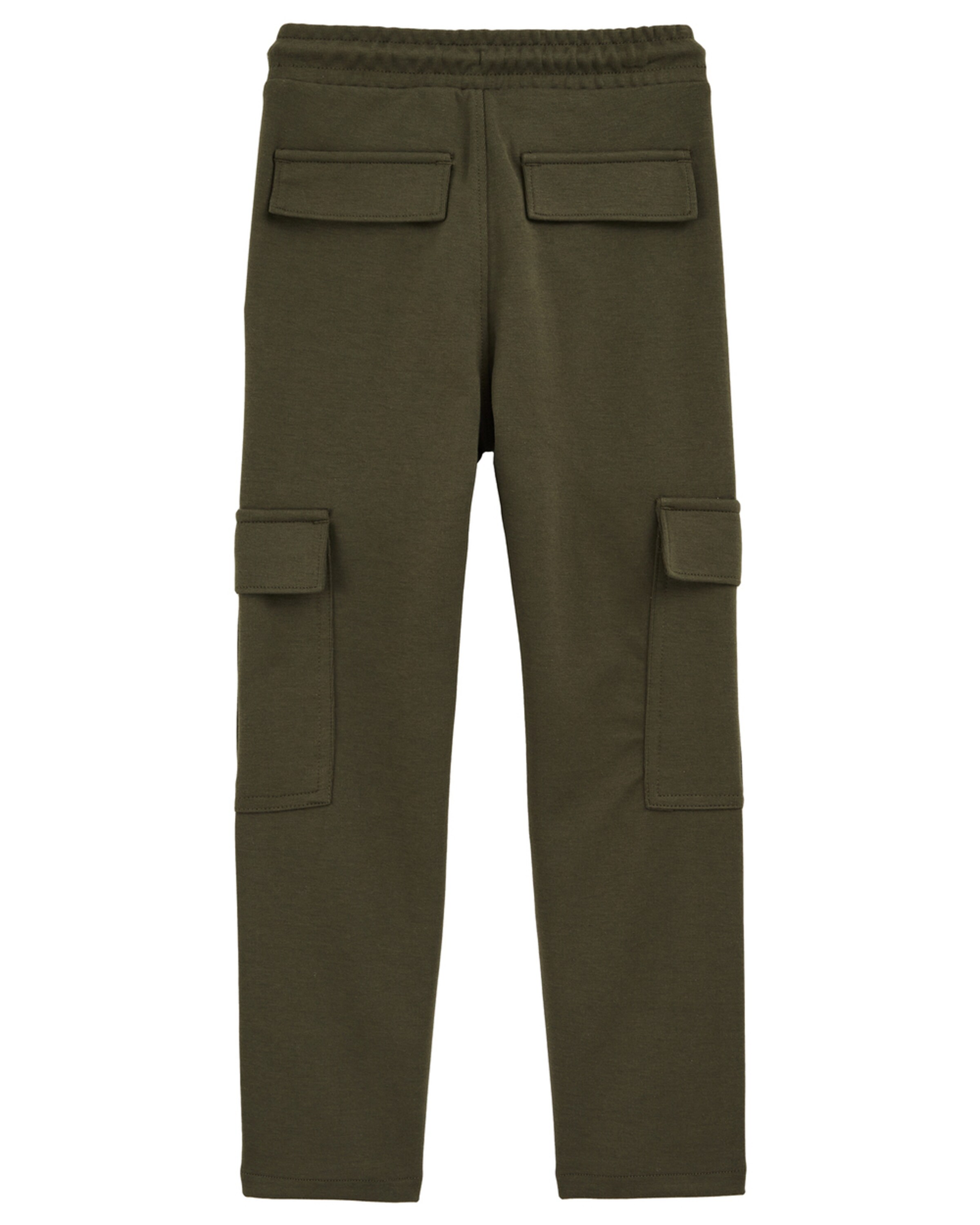 WE Fashion Обычный Штаны в Зеленый