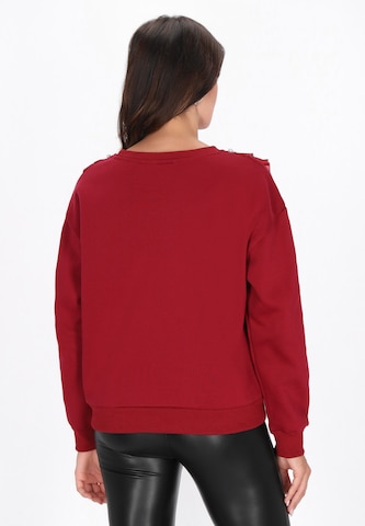faina Sweatshirt in Rood