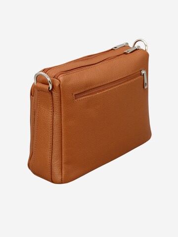 Brise Skuldertaske 'Palma' i brun