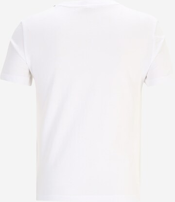 Only Petite Shirt 'KETTY' in White