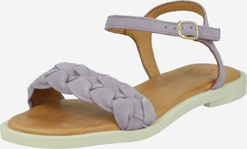 Apple of Eden Strap Sandals 'Alma' in Purple: front